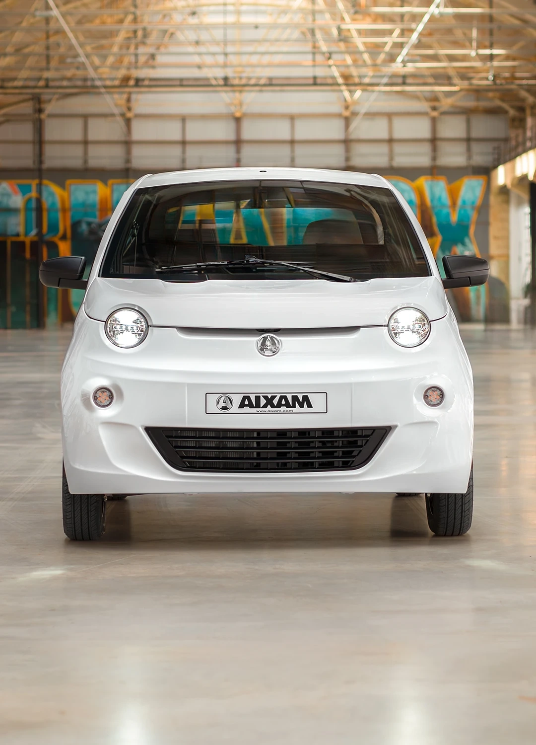 AIXAM easy Access